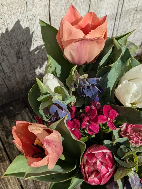 bloemstuk met tulpen