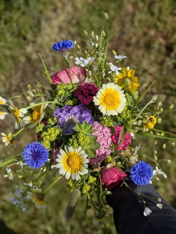 kleurrijk veldboeket eind mei