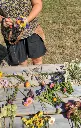 kathleen maakt droogbloemenkrans op picknicktafel.webp