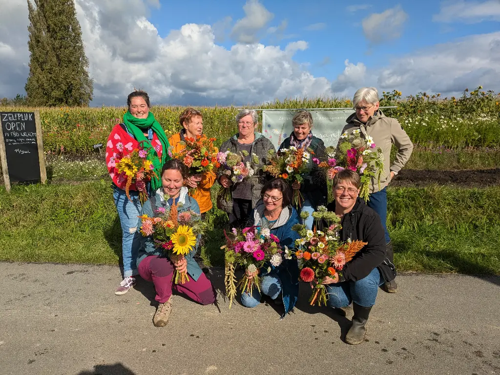 Workshop "Pluk en schik je eigen veldboeket" - Za 29/8/2026 10u-12u